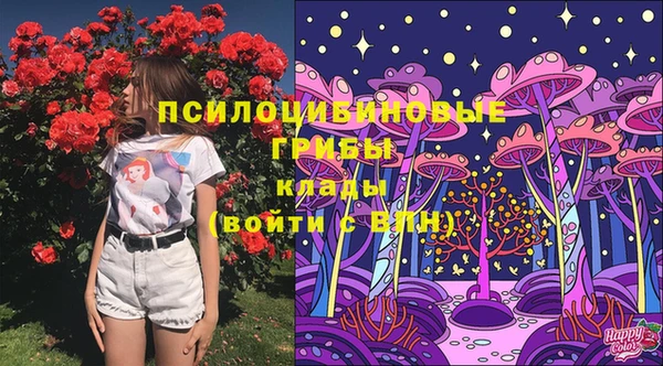 COCAINE Инсар